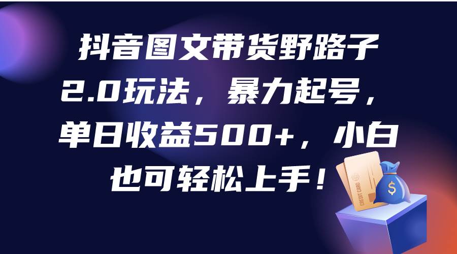 抖音图文带货野路子2.0玩法，暴力起号，单日收益500+，小白也可轻松上手！-云舒网创