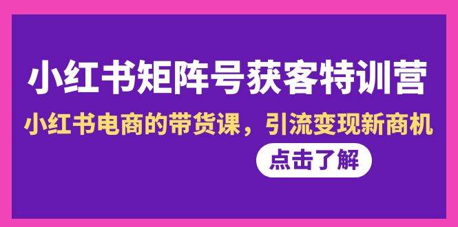 小红书-矩阵号获客特训营-第10期，小红书电商的带货课，引流变现新商机-云舒网创