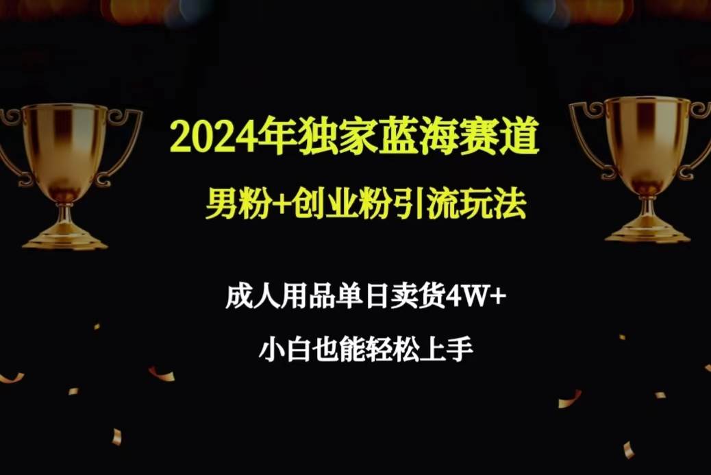 2024年独家蓝海赛道男粉+创业粉引流玩法，成人用品单日卖货4W+保姆教程-云舒网创