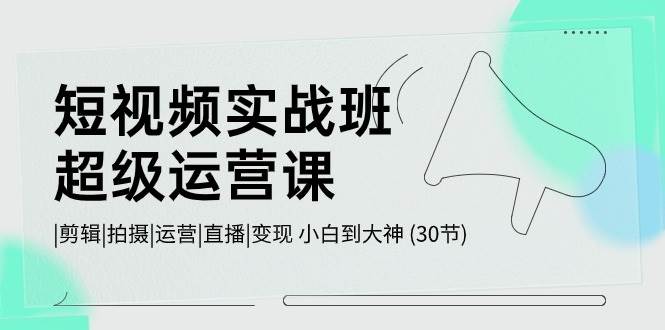 短视频实战班-超级运营课，|剪辑|拍摄|运营|直播|变现 小白到大神 (30节)-云舒网创