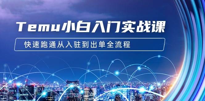 Temu小白入门实战课：跨境拼多多电商培训 快速跑通从入驻到出单全流程-12节-云舒网创