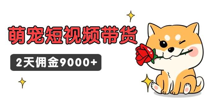 东哲日记·萌宠短视频带货，2天佣金9000+-云舒网创