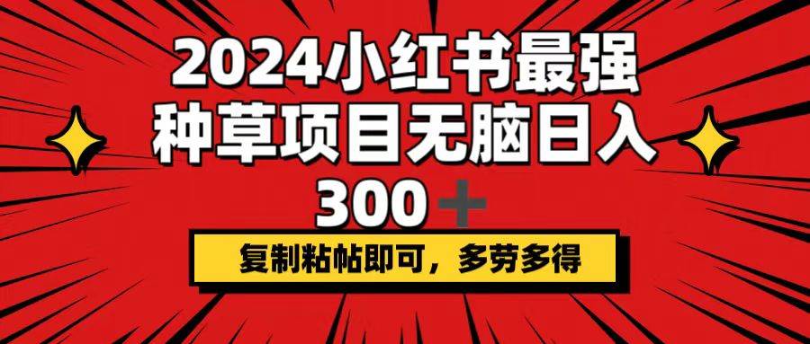 2024小红书最强种草项目，无脑日入300+，复制粘帖即可，多劳多得-云舒网创
