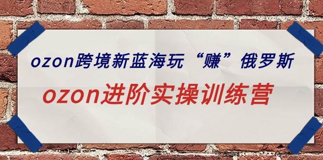 ozon跨境新蓝海玩“赚”俄罗斯，ozon进阶实操训练营-云舒网创