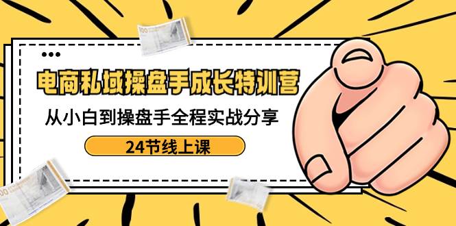 电商私域-操盘手成长特训营：从小白到操盘手全程实战分享-24节线上课-云舒网创