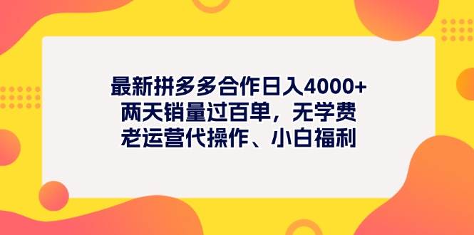 最新拼多多项目日入4000+两天销量过百单，无学费、老运营代操作、小白福利-云舒网创