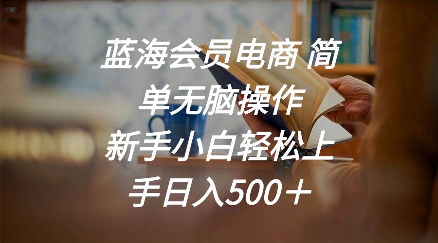 蓝海会员电商 简单无脑操作 新手小白轻松上手日入500＋-云舒网创