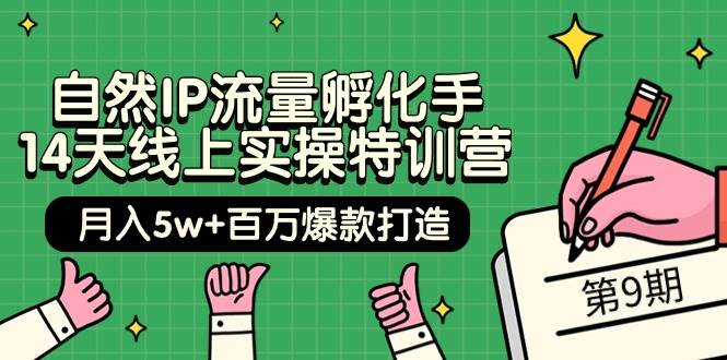 自然IP流量孵化手 14天线上实操特训营【第9期】月入5w+百万爆款打造 (74节)-云舒网创