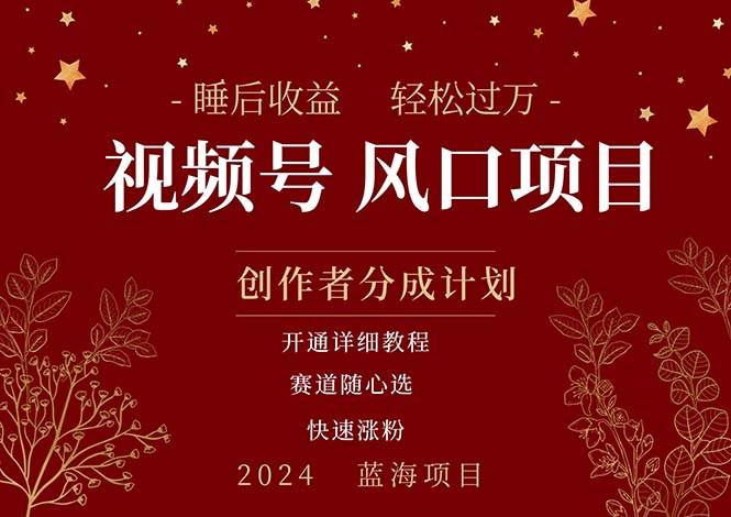 拥有睡眠收益的微信视频号大风口项目，轻松月入过万+，多赛道选择，可…-云舒网创