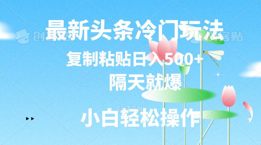 最新头条冷门玩法，隔天就爆，复制粘贴日入500+-云舒网创