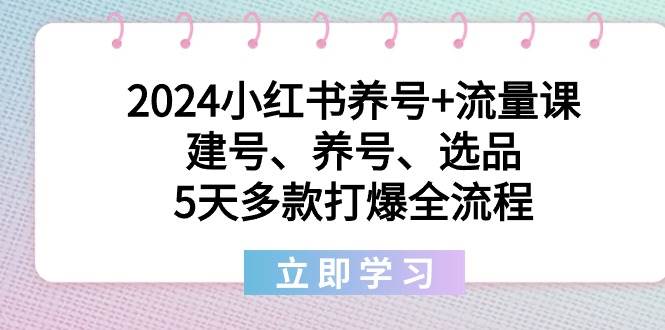 2024小红书养号+流量课：建号、养号、选品，5天多款打爆全流程-云舒网创