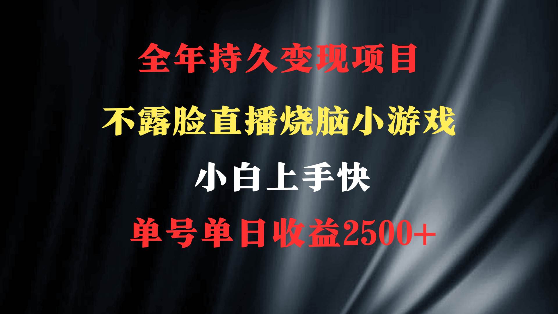 2024年 最优项目，烧脑小游戏不露脸直播  小白上手快 无门槛 一天收益2500+-云舒网创