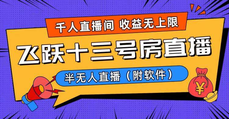 爆火飞跃十三号房半无人直播，一场直播上千人，日入过万！（附软件）-云舒网创