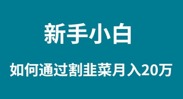 新手小白如何通过割韭菜月入 20W-云舒网创