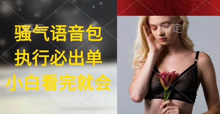执行就出单，日入2000+，超火骚气语音包，小白看完课程就能马上实操-云舒网创