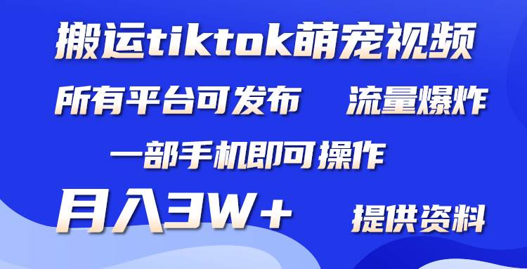 搬运Tiktok萌宠类视频，一部手机即可。所有短视频平台均可操作，月入3W+-云舒网创