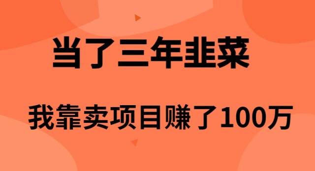 当了3年韭菜，我靠卖项目赚了100万-云舒网创