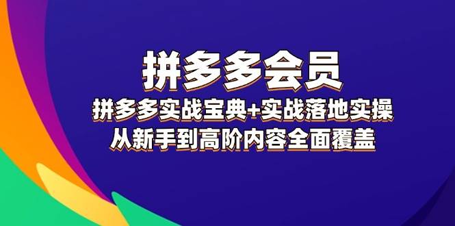 拼多多 会员，拼多多实战宝典+实战落地实操，从新手到高阶内容全面覆盖-云舒网创