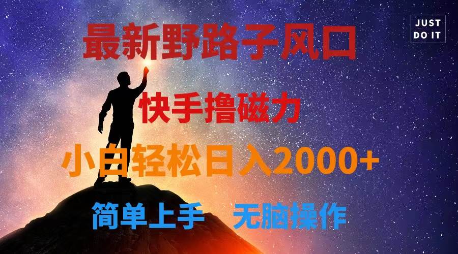 最新风口！快手撸磁力，野路子，小白无脑操作日入2000+-云舒网创