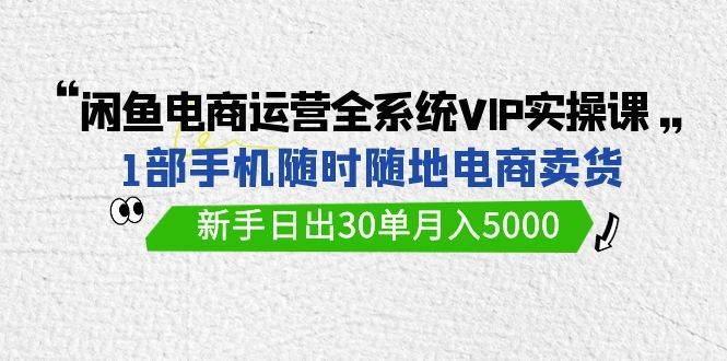 闲鱼电商运营全系统VIP实战课，1部手机随时随地卖货，新手日出30单月入5000-云舒网创