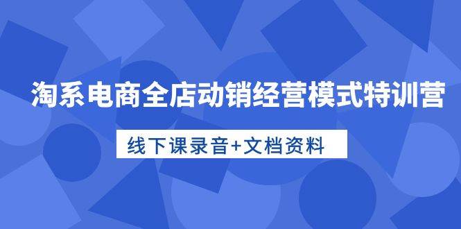 淘系电商全店动销经营模式特训营，线下课录音+文档资料-云舒网创
