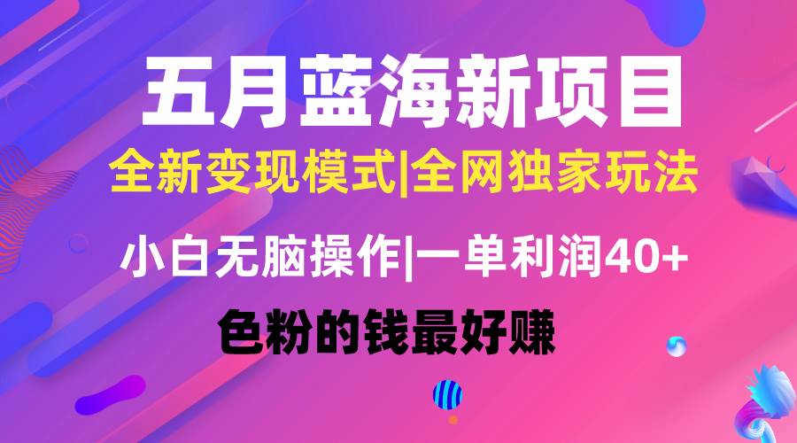 五月蓝海项目全新玩法，小白无脑操作，一天几分钟，矩阵操作，月入4万+-云舒网创