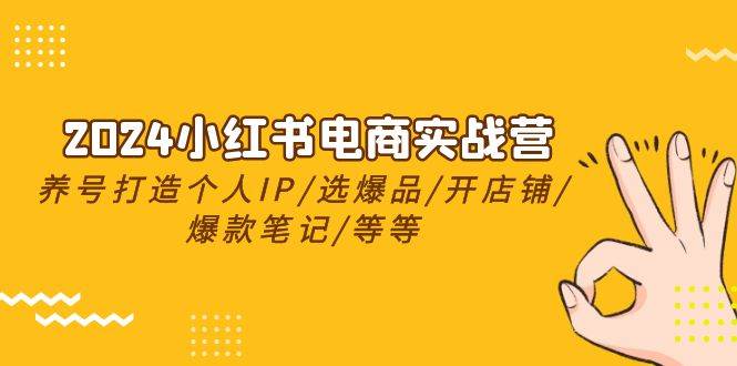 2024小红书电商实战营，养号打造IP/选爆品/开店铺/爆款笔记/等等（24节）-云舒网创