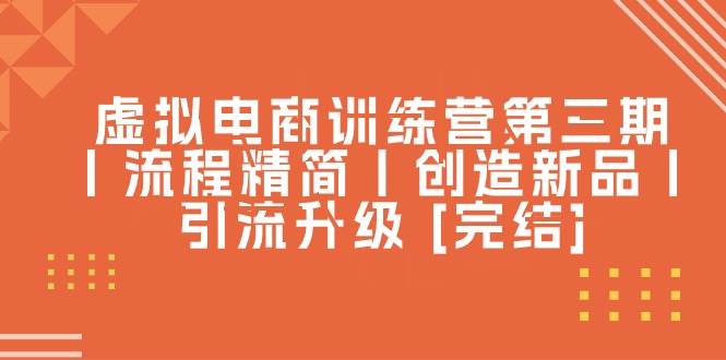 虚拟电商训练营第三期丨流程精简丨创造新品丨引流升级 [完结]-云舒网创