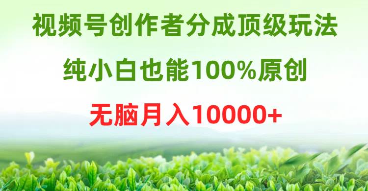 视频号创作者分成顶级玩法，纯小白也能100%原创，无脑月入10000+-云舒网创
