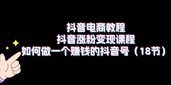 抖音电商教程：抖音涨粉变现课程：如何做一个赚钱的抖音号（18节）-云舒网创