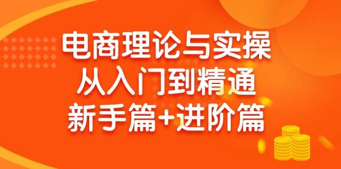 电商理论与实操从入门到精通 新手篇+进阶篇-云舒网创