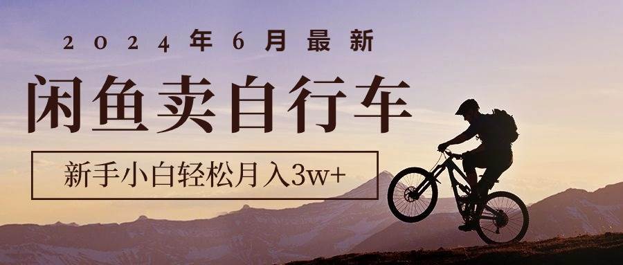 2024年6月最新闲鱼卖自行车，新手小白轻松月入3w+项目-云舒网创