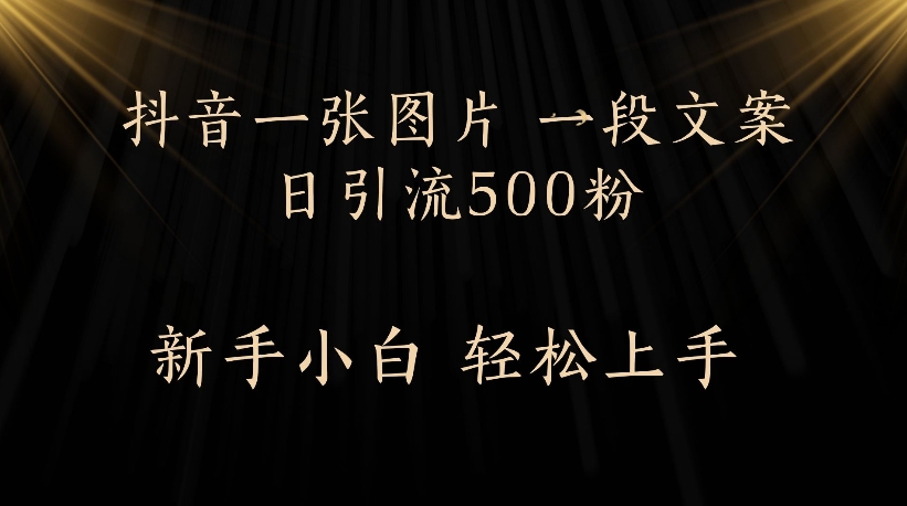 抖音一张图片，一段文案日引流500粉，新手小白 轻松上手-云舒网创