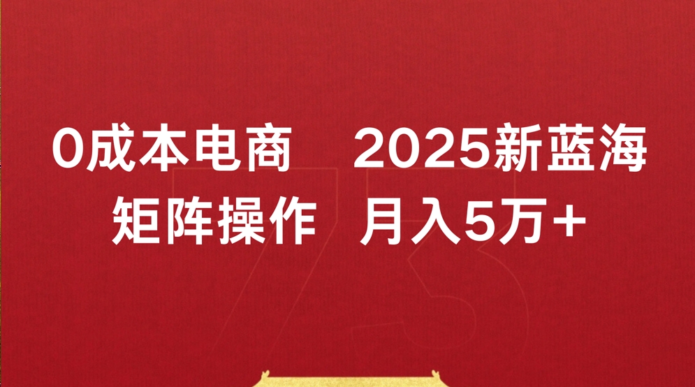 0成本电商2025新蓝海矩阵操作 月入5万+-云舒网创