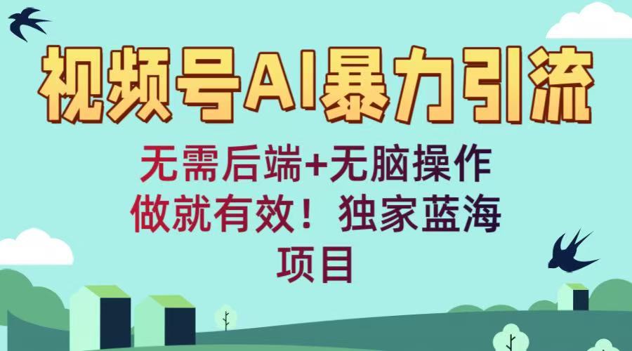 视频号AI暴力引流：无需后端+无脑操作，做就有效！独家蓝海项目-云舒网创