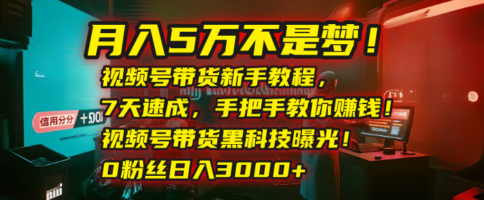 月入5万不是梦！视频号带货新手教程，7天速成，手把手教你赚钱！视频号带货黑科技曝光！0粉丝日入3000+-云舒网创