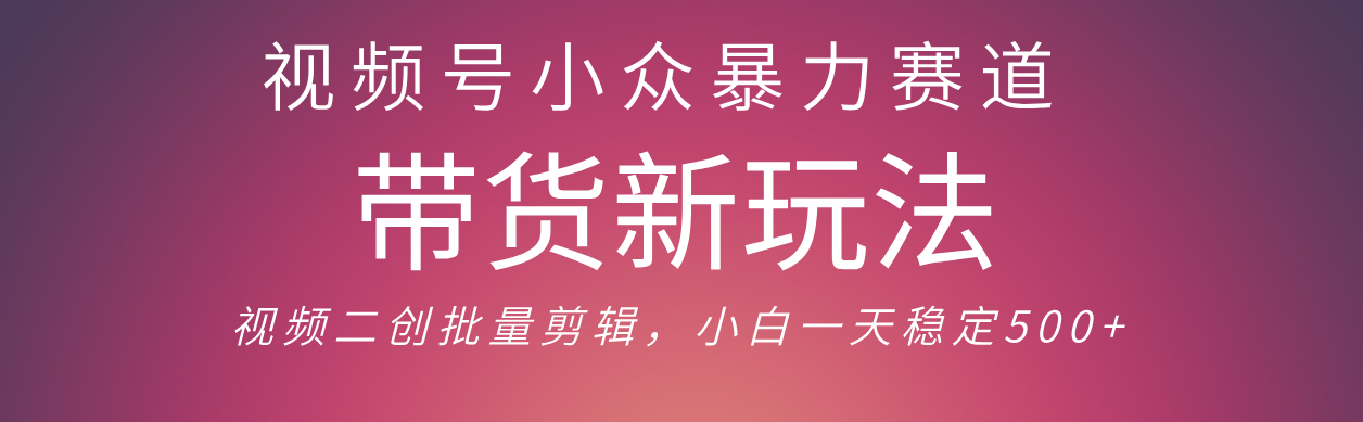 视频号小众暴力赛道，最新带货玩法 小白也能轻松日入500+ 保姆及教程-云舒网创