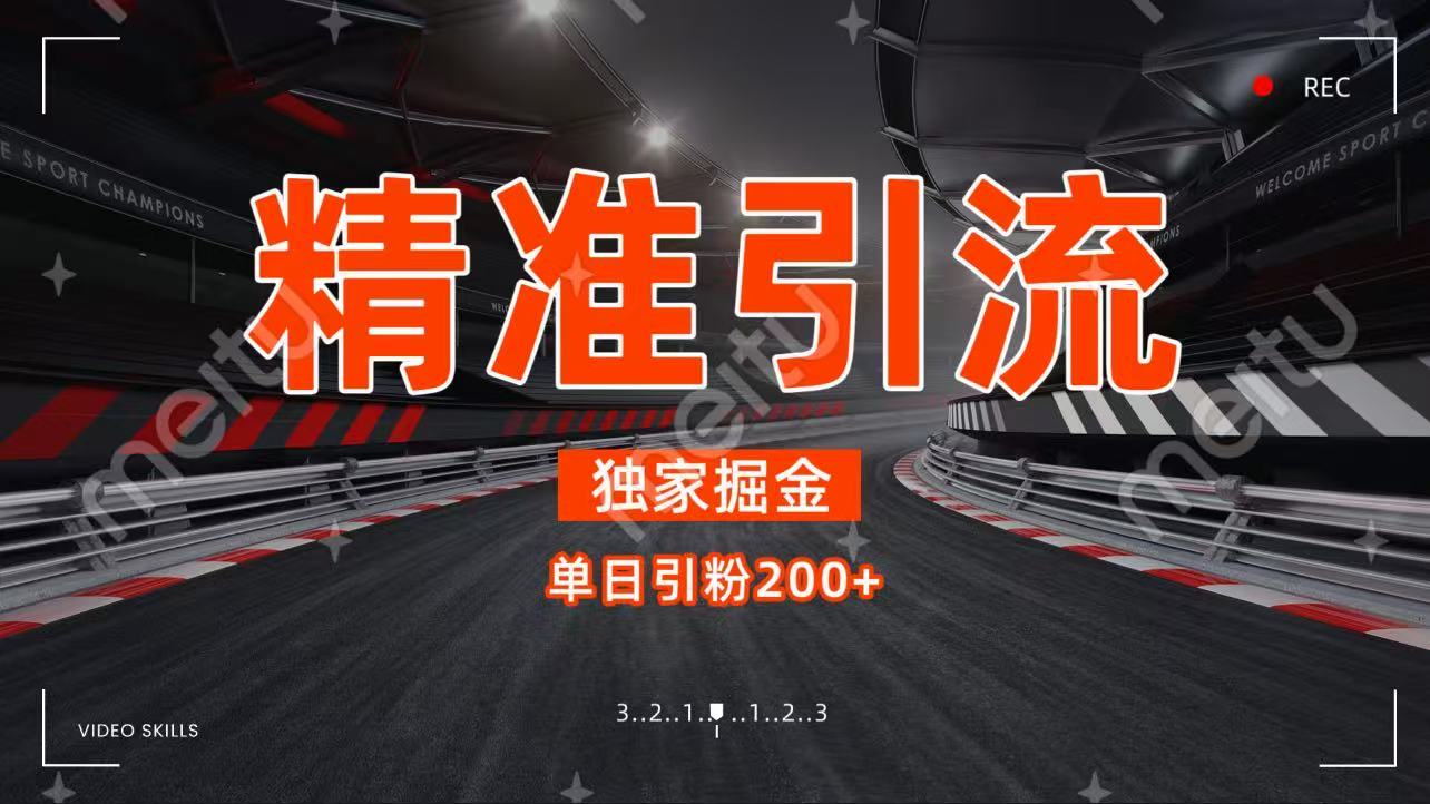 独家野路子精准引流 每日200+-云舒网创